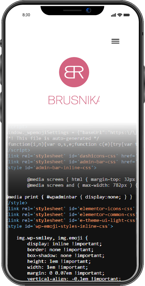 Web Development Berlin, Web Konzept und Entwicklung